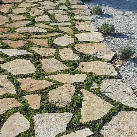 I Trulli Di Nonno Cosimo アパート *